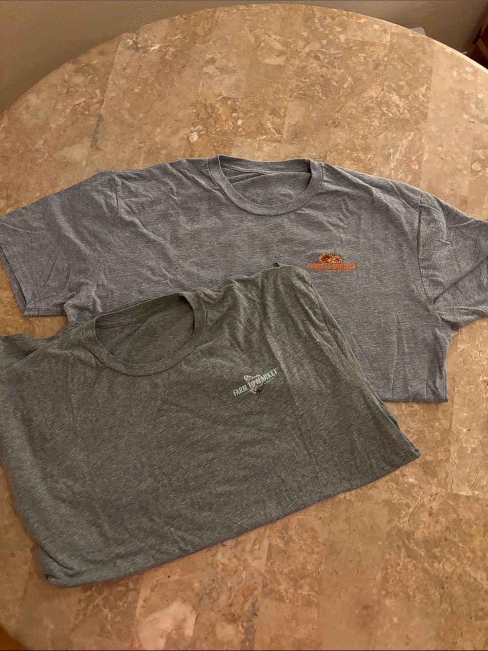 2 Short Sleeve Tees  - Heather Gray